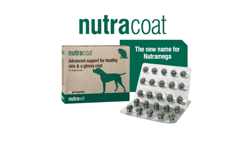 Nutracoat (new name for nutramega) for dogs & cats 90 capsules