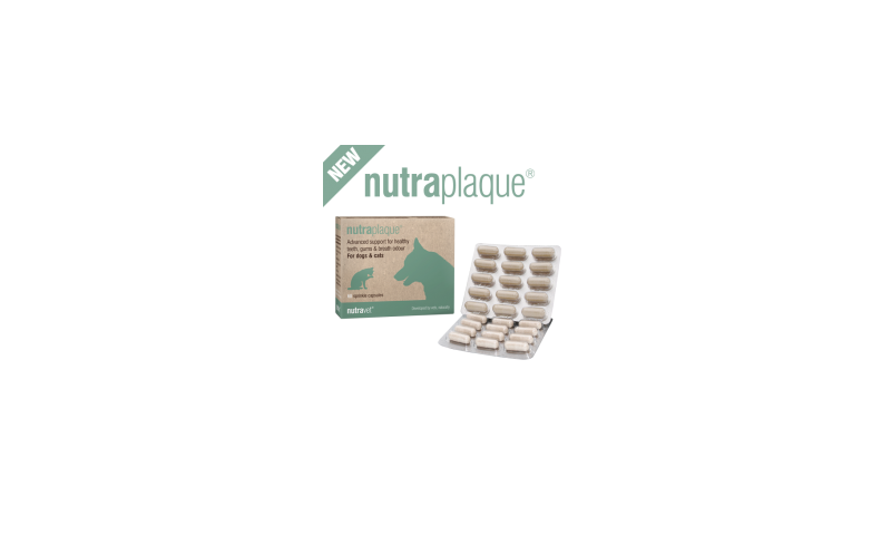 Nutraplaque 60 sprinkle capsules